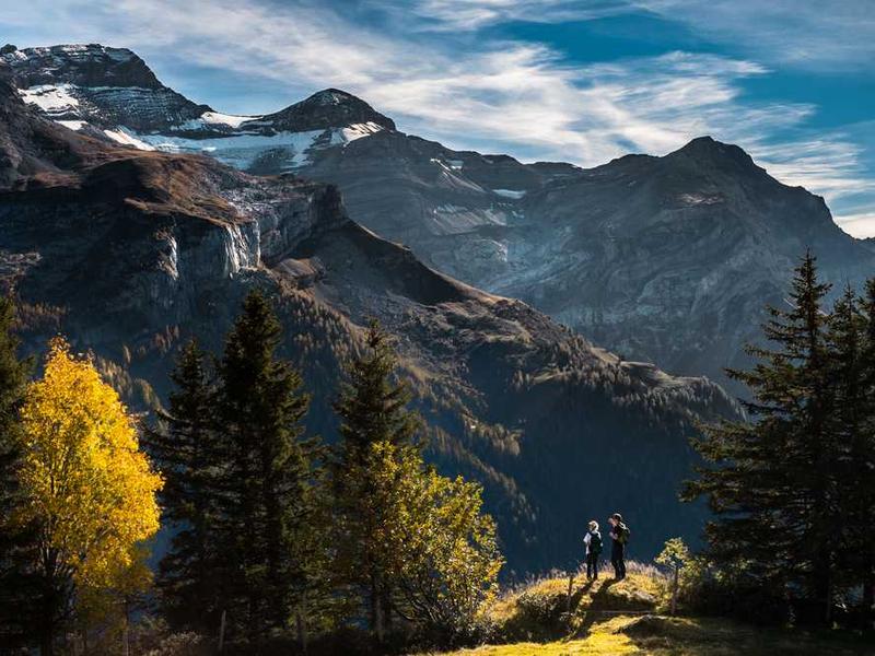 Brosse à dents électrique